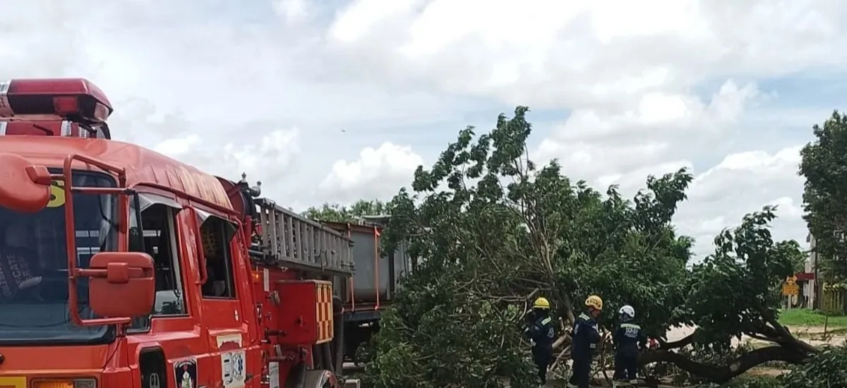Alerta naranja hasta el martes en Santa Cruz por fuertes vientos y ráfagas de hasta 90 km/h