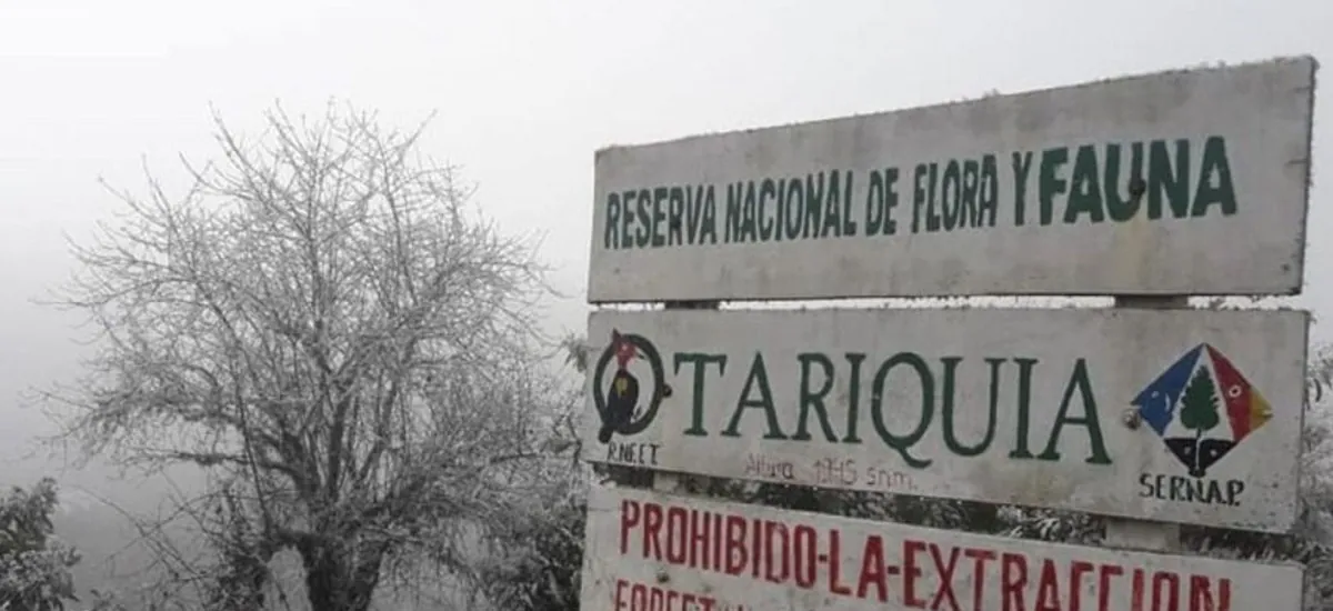 Tribunal Agroambiental rechaza frenar proyecto de exploración de Petrobras y ordena socializar estudio ambiental