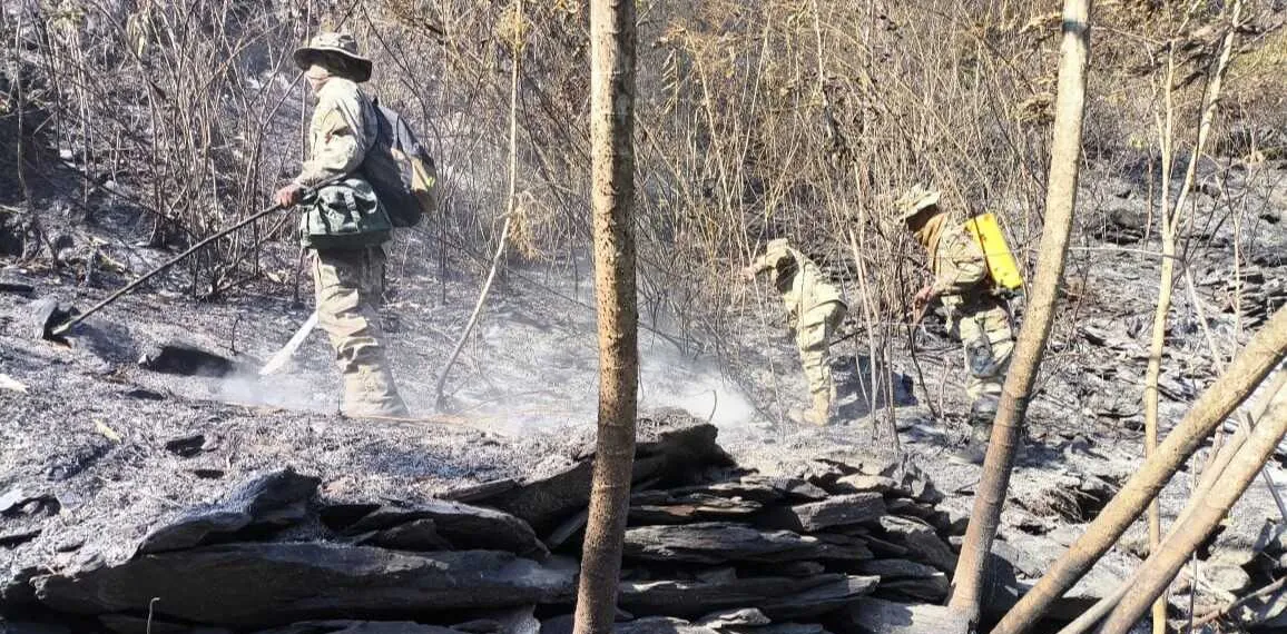 Controlan incendio forestal en Yanacachi, La Paz, tras identificar 30 focos de fuego