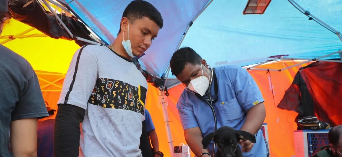 Los refugios de animales, desbordados tras el doble terremoto en Venezuela