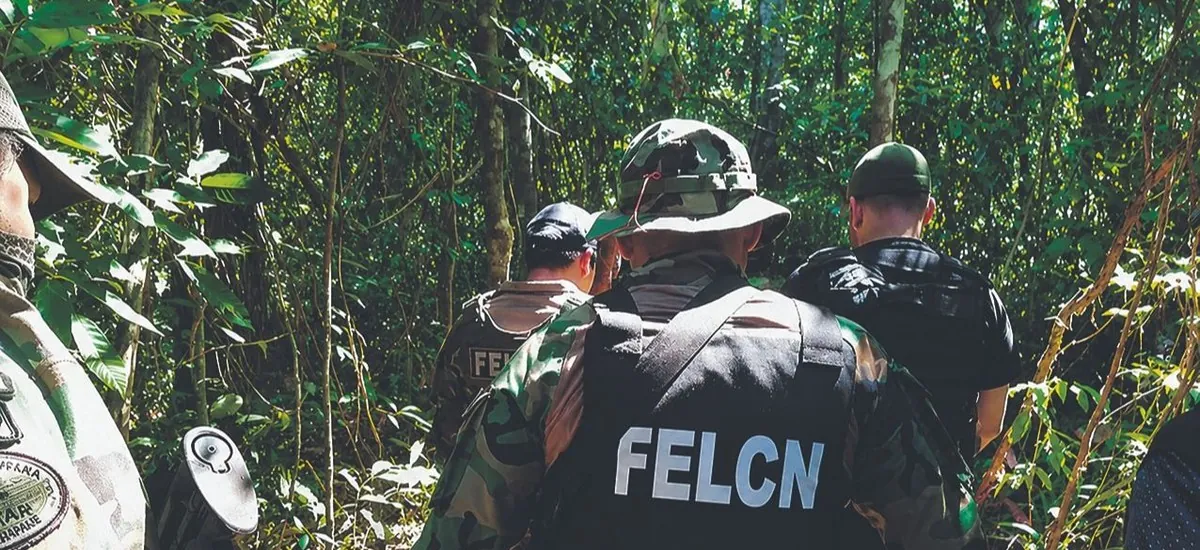 En operativos antidroga detectan acopio de armas y municiones en el Chapare