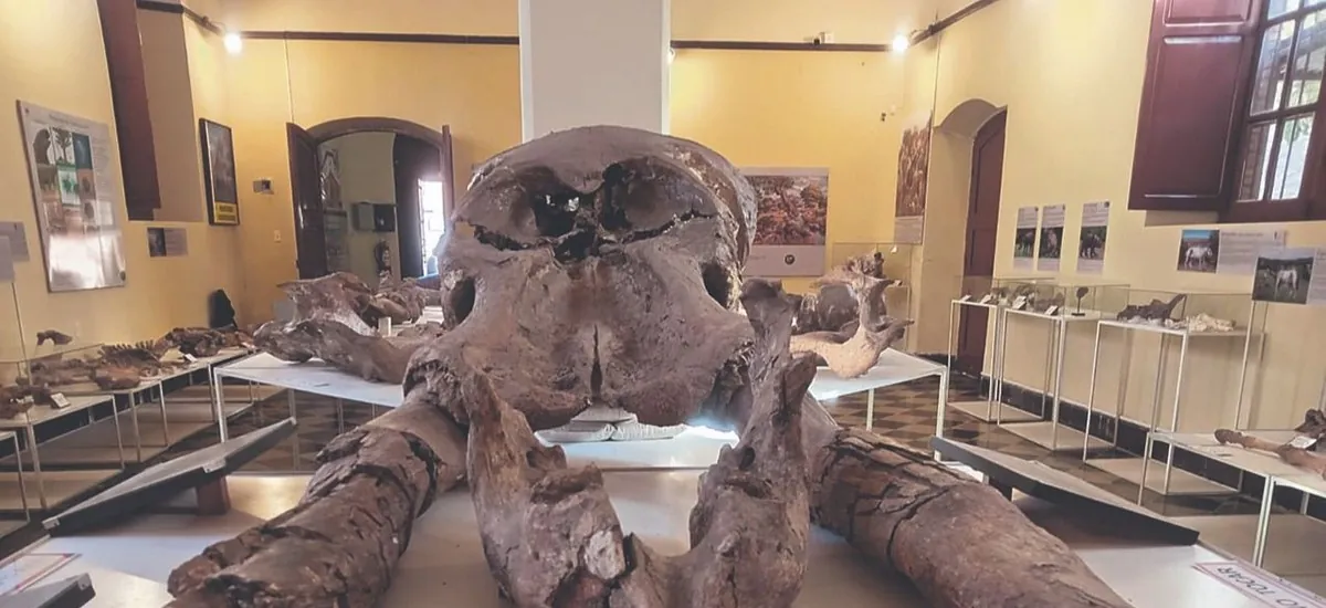 Impulsan norma para incluir a Bolivia en circuito mundial de paleontología