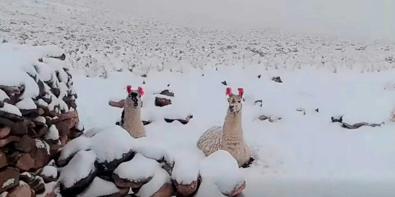 Nevadas y crecidas de ríos ponen en alerta a cuatro departamentos