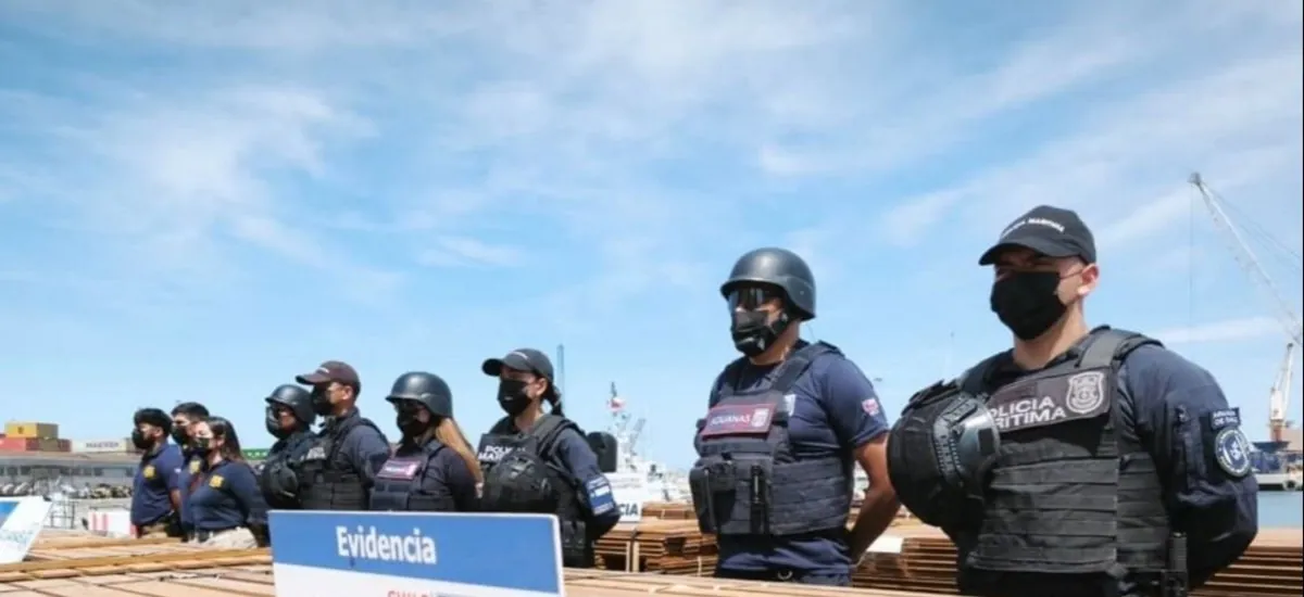 Juez frena destrucción de madera en Chile y autoriza nuevas pericias