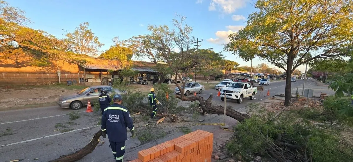 Alcaldía atiende 13 emergencias por fuertes vientos