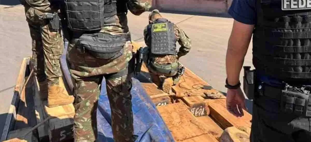 Peritaje descarta cocaína en las 260 toneladas de madera boliviana decomisadas en Brasil, según Globo
