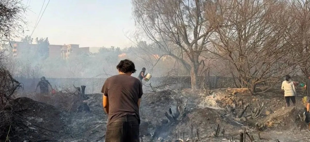 Instruyen a la Agencia Boliviana Espacial monitorear los incendios forestales
