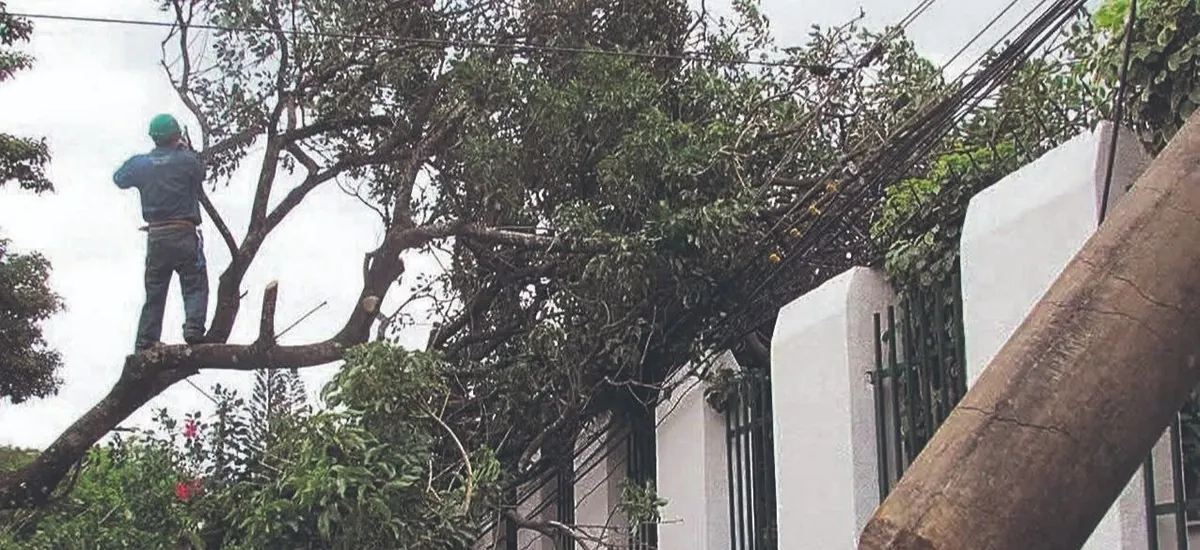 Fuertes vientos causan apagones, caída de árboles y daños en viviendas