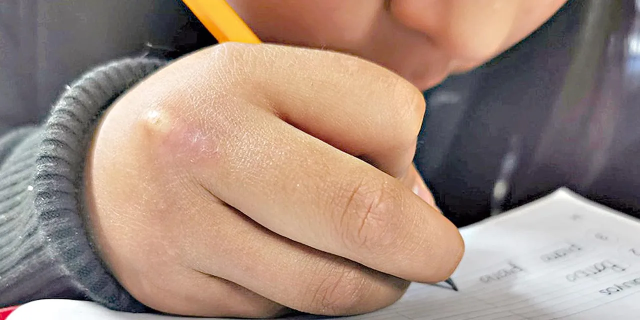 Estudiantes retornan a las aulas este lunes; tres departamentos mantienen horario de invierno ampliado
