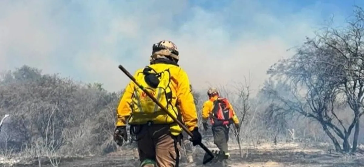 San Lorenzo se declara en desastre municipal por los incendios forestales