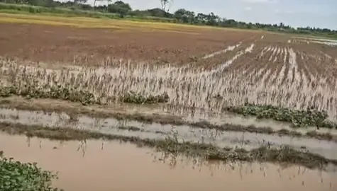 “Si viene otra riada, los defensivos no aguantan y Hardeman va a desaparecer” señala el alcalde de San Pedro
